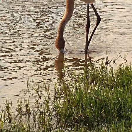 Nemo Mare Lido di Noto